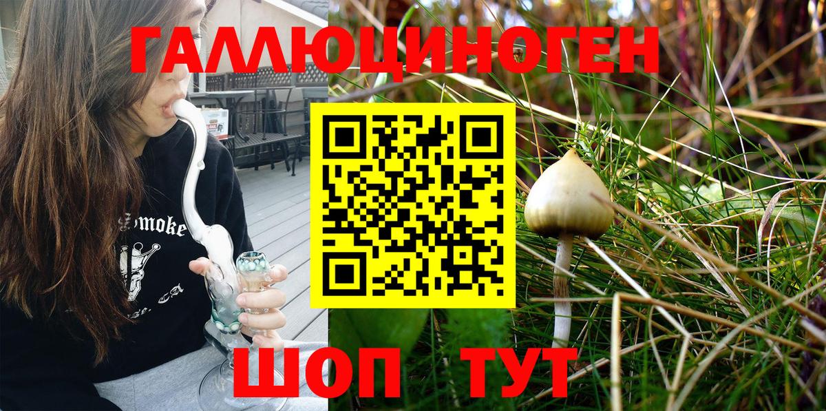 Псилоцибиновые грибы Psilocybine cubensis  Вход с VPN  Чистополь 